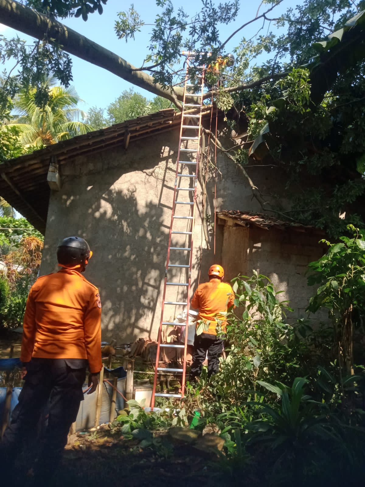 Angin Kencang Terjang Desa Bantarjati Kecamatan Klapanunggal