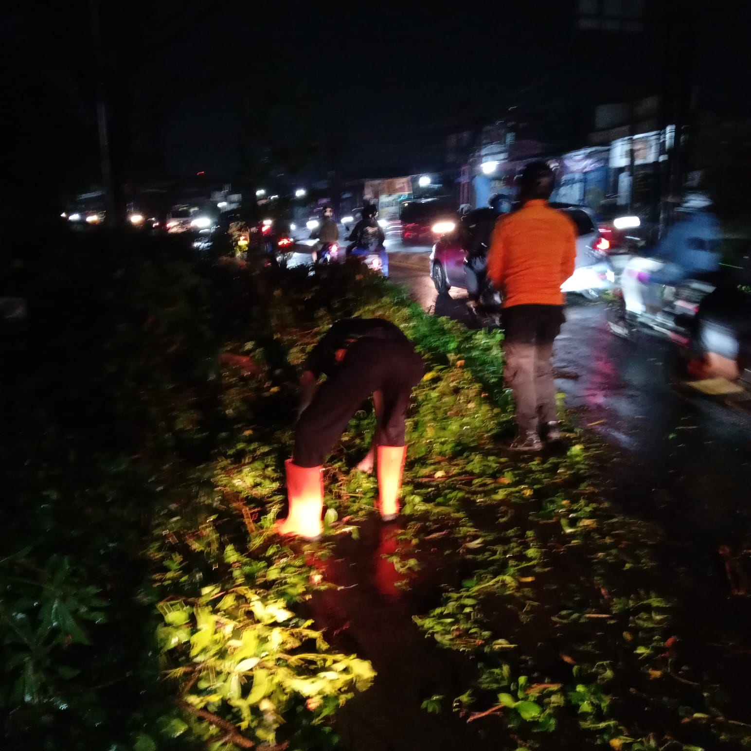 Angin Kencang Ganggu Akses Jalan Raya di Kelurahan Pabuaran Mekar Kecamatan Cibinong