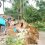 Banjir dan Longsor di Kecamatan Sukajaya