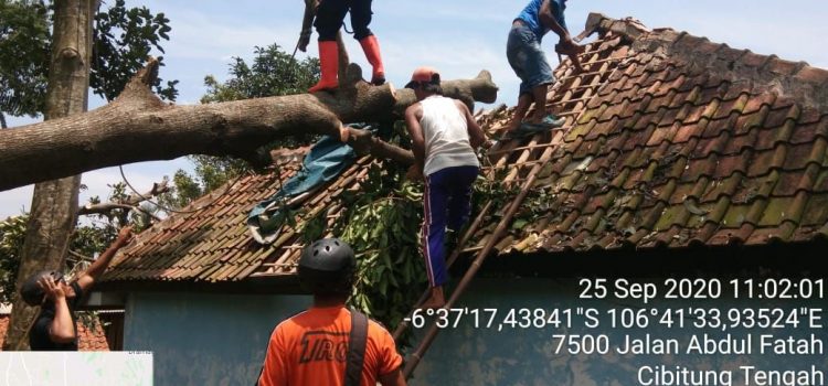 Angin Kencang di Kecamatan Tenjolaya Angin Kencang di Kecamatan Tenjolaya