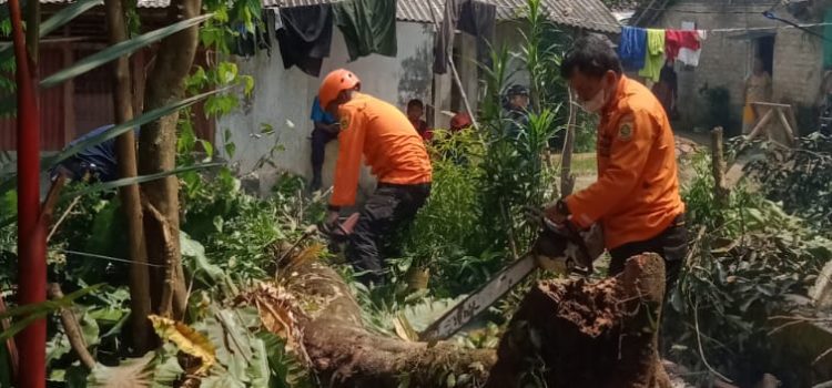 1 Rumah Warga Tertimpa Pohon Akibat Angin Kencang di Kecamatan Cibungbulang