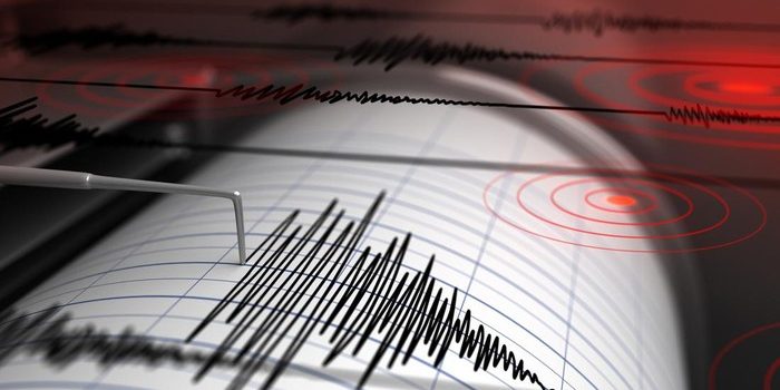 Gempa M 3,8 Terjadi di Jayapura