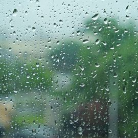 Prakiraan Cuaca : Pagi Cerah, Sore Jelang Malam Bogor Hujan Ringan