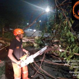 Hujan yang Mengguyur Beberapa Wilayah di Kabupaten Bogor Menyebabkan Pohon Tumbang dan Menutipi Ruas Jalan