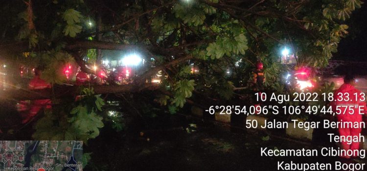 Angin Kencang Disertai Hujan Deras yang Mengguyur Kecamatan Cibinong Mengakibatkan Pohon Tumbang