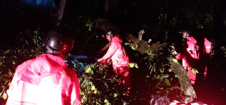 Angin Kencang Mengakibatkan Pohon Tumbang Menimpa 1 Unit Mobil Milik Warga di Perumahan Golden Park Pakansari Kecamatan Cibinong