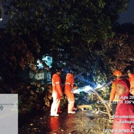 Hujan Deras Disertai Angin Kencang Mengakibatkan Pohon Tumbang di Togtogan Kecamatan Cibinongamatan