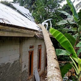 Akibat Angin Kencang Pohon Tumbang Menimpa Rumah Warga di Kecamatan Caringin