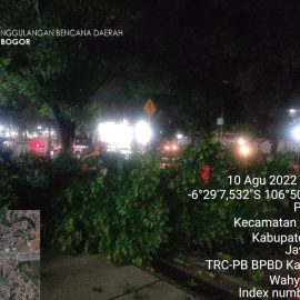 Angin Kencang Disertai hujan Deras Mengakibatkan Pohon Tumbang di Jl Raya Pakansari Kecamatan Cibinong