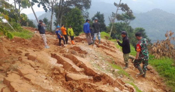 Bencana Tanah Bergerak di Cigudeg Bogor, BPBD: Daerahnya Memang Rawan Longsor
