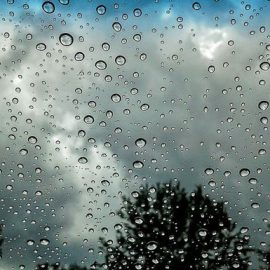 Prakiraan Cuaca : Hujan Ringan-Sedang di Bogor Sore Hingga Malam